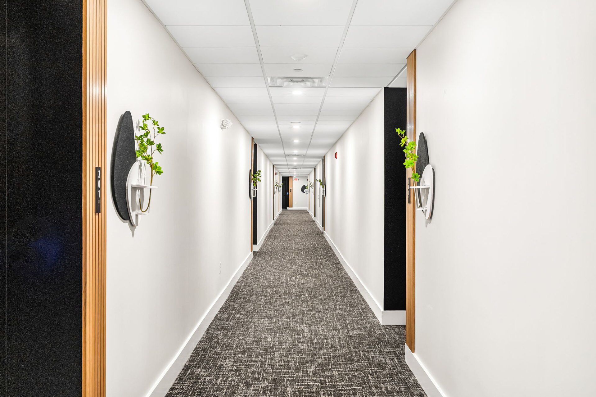Bright apartment building hallway with carpeted corridor